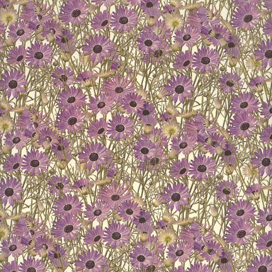 Purple Daisies Floral Print Italian Paper ~ Leonardo Communication